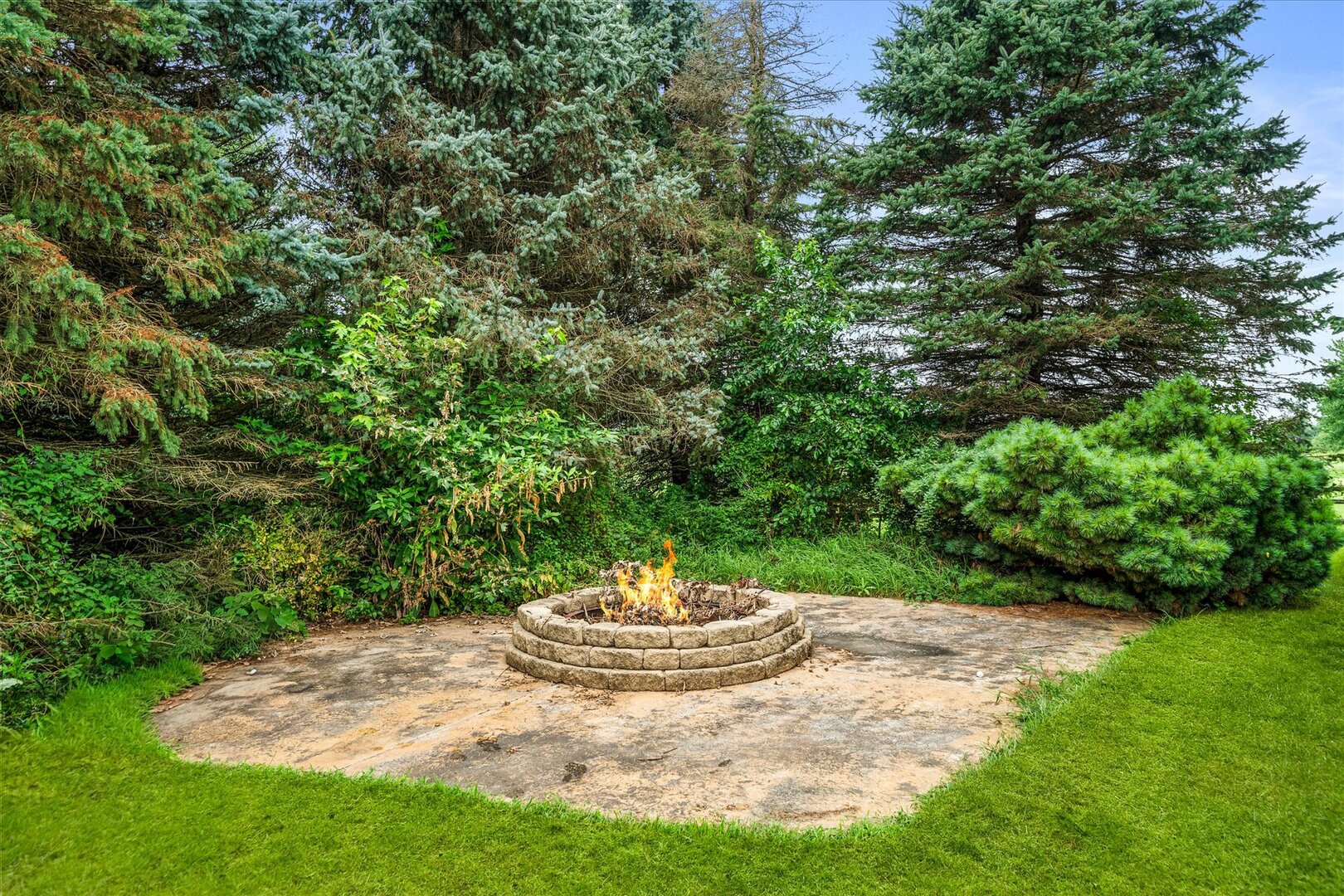 Stone fire pit burning on a paved patio surrounded by mature evergreens and lawn.