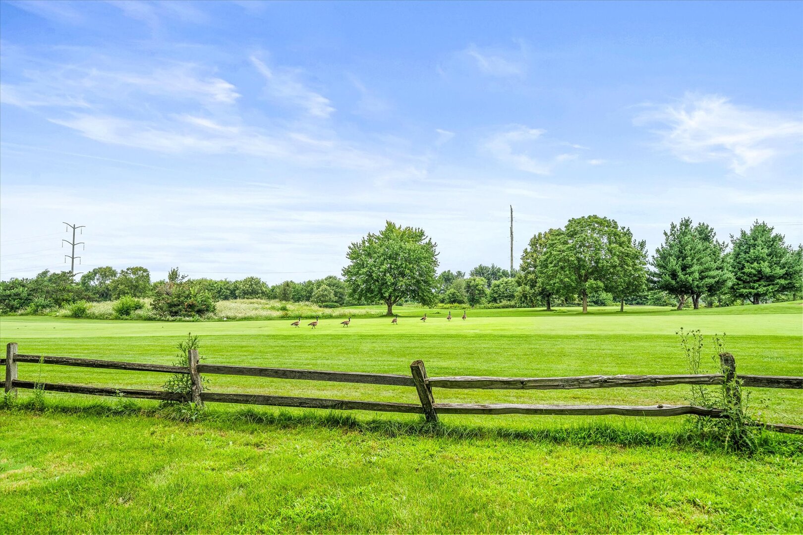 Green golf course with geese, mature trees, and a rustic wooden fence in the foreground.