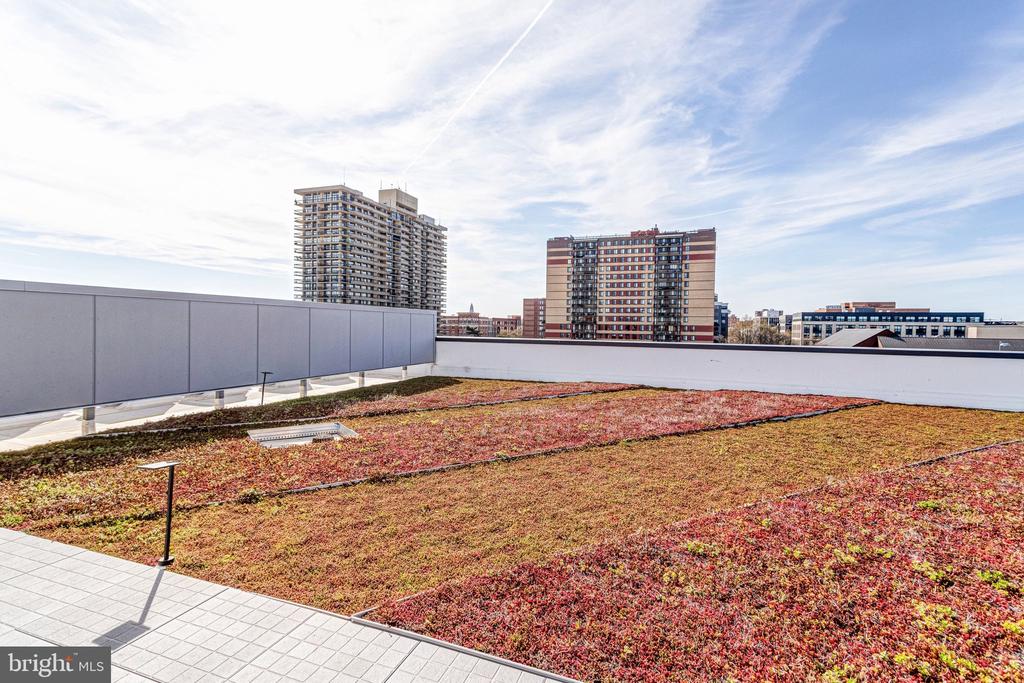 801 N FAIRFAX STREET Unit: 212
