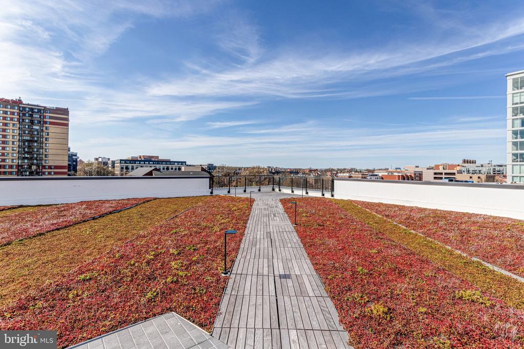801 N FAIRFAX STREET Unit: 212
