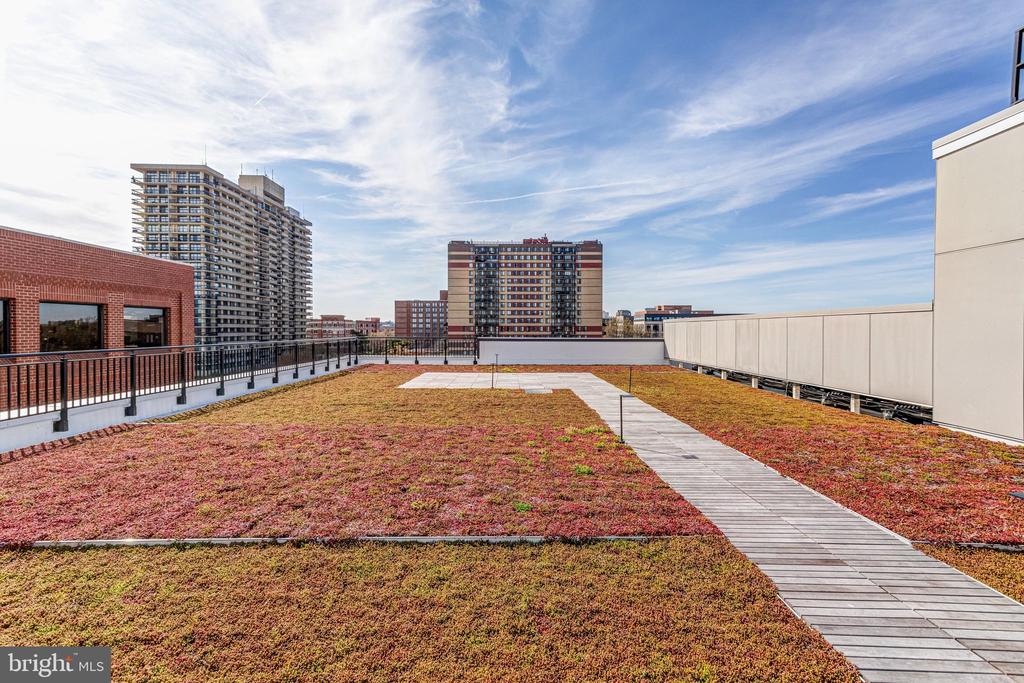 801 N FAIRFAX STREET Unit: 212