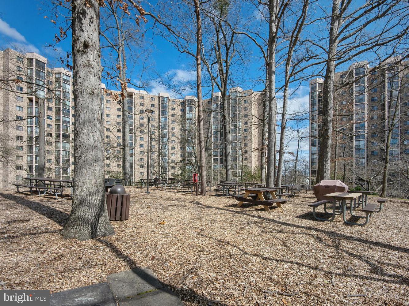 5904 Mount Eagle Dr #609