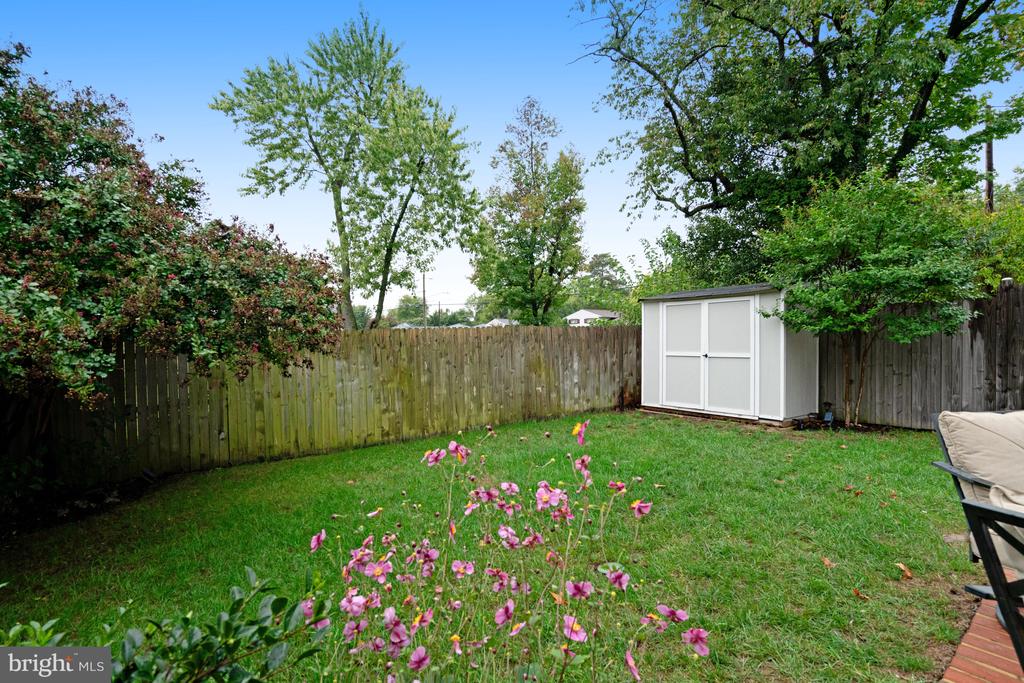 2517 Oberlin Dr