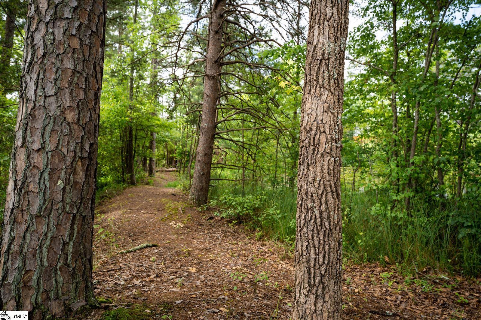 358 Nettle Lane Lot 297