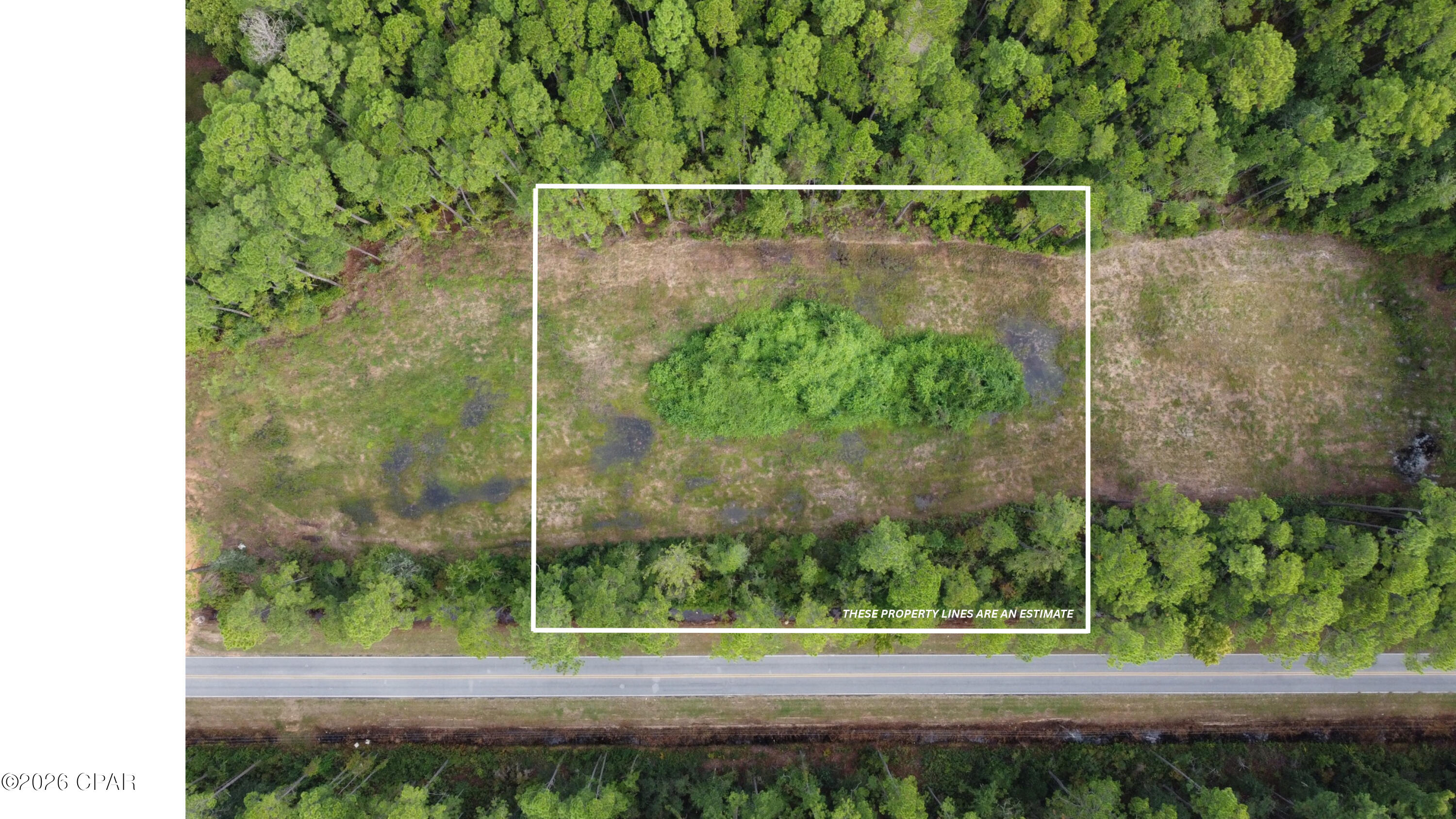 Aerial view of a wooded lot outlined beside a road, with a central patch of shrubs.