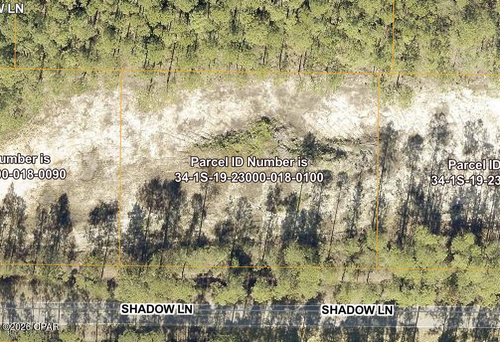 Aerial view of wooded lot marked with orange parcel boundaries beside Shadow Lane.