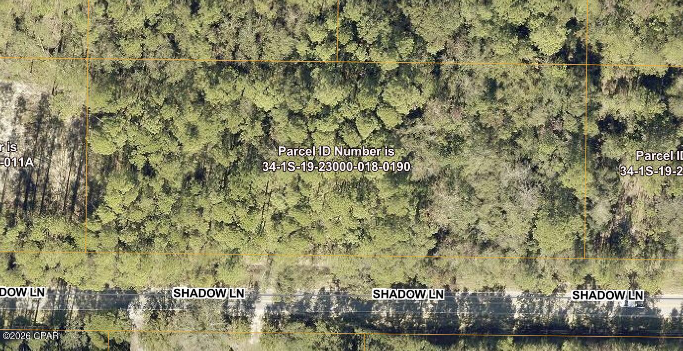 Aerial view of wooded lots outlined along Shadow Lane, with parcel identification labels.
