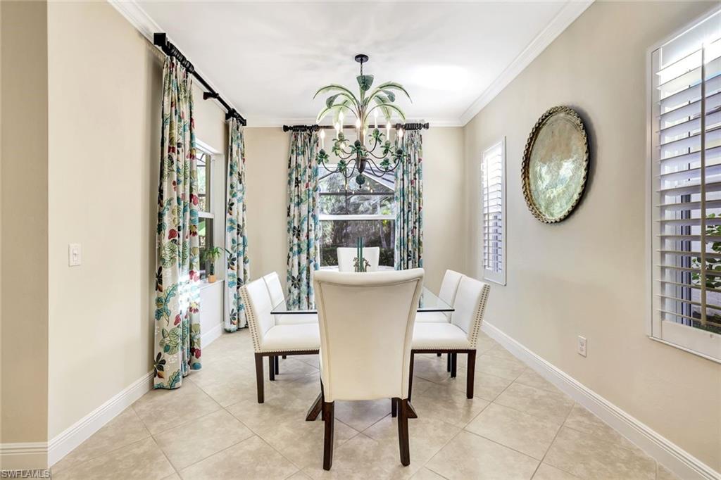 3667 Canopy CIR