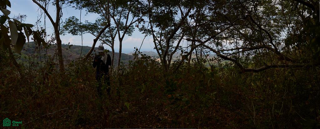 Finca Gomez Naranjalito