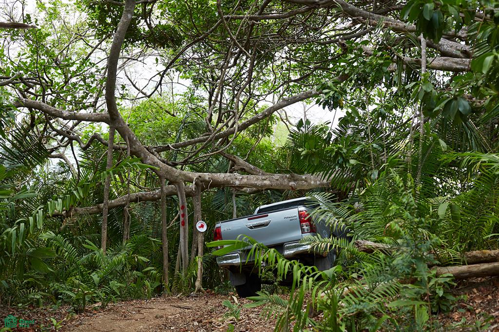 Finca Gomez Naranjalito