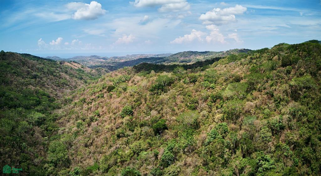 Finca Gomez Naranjalito