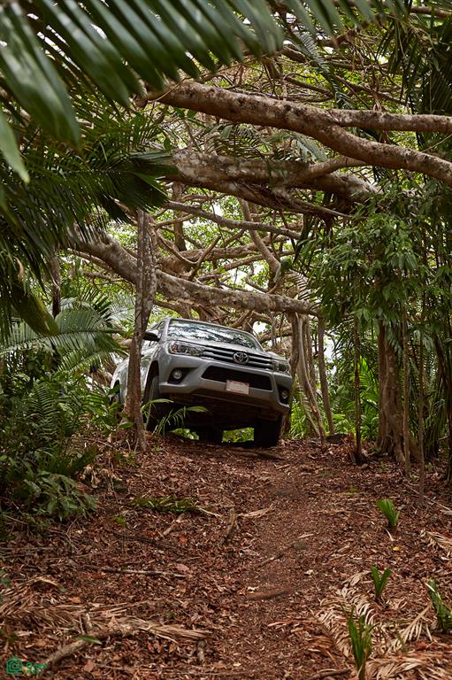 Finca Gomez Naranjalito