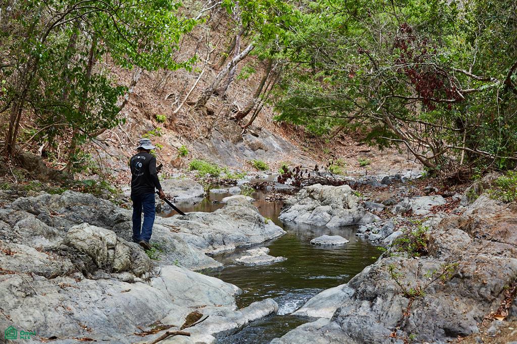 Finca Gomez Naranjalito