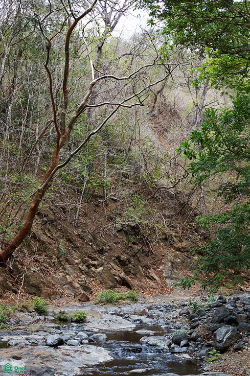 Finca Gomez Naranjalito