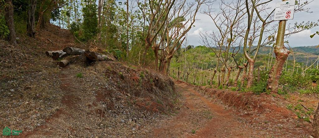 Finca Gomez Naranjalito