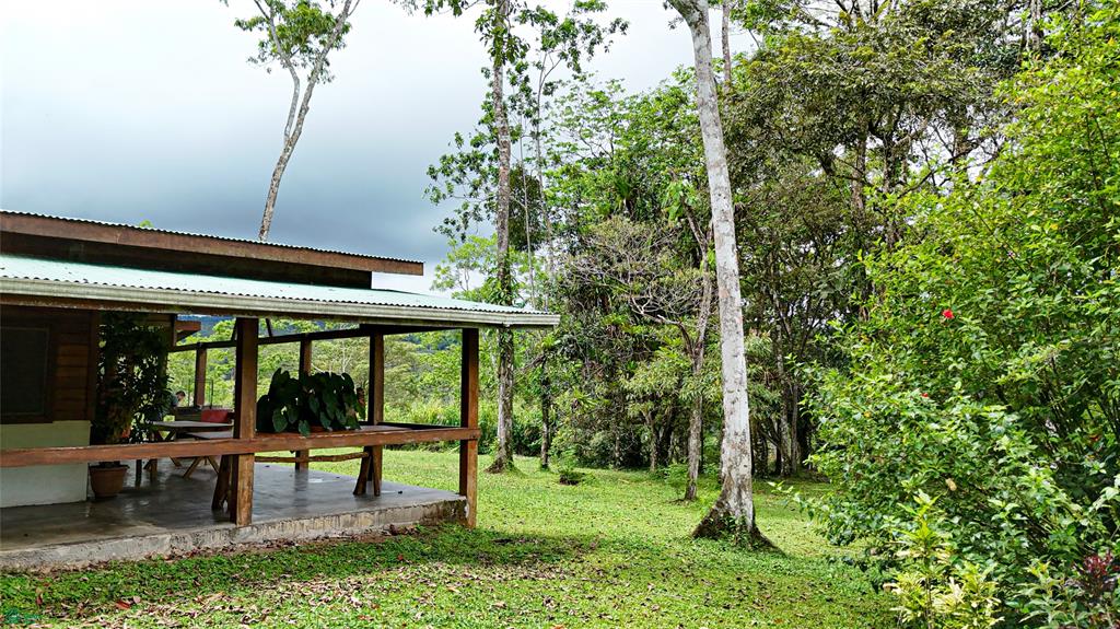 Finca Macadamia Bijagua