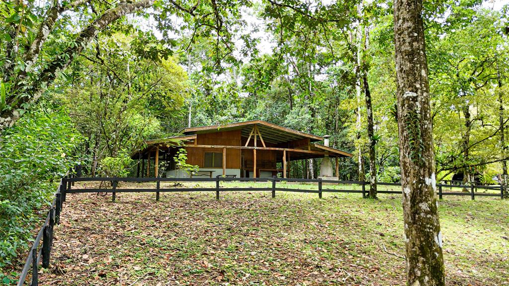 Finca Macadamia Bijagua