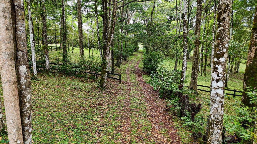 Finca Macadamia Bijagua