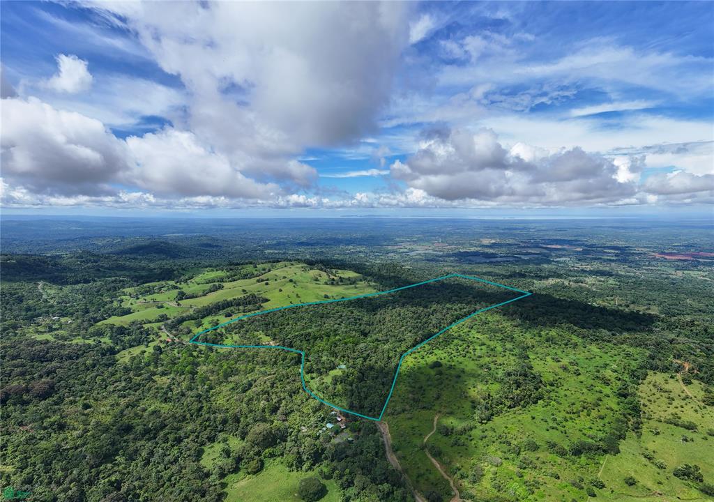 Finca Macadamia Bijagua
