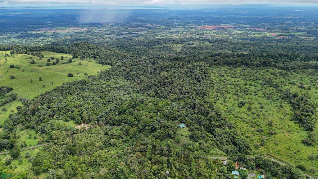 Finca Macadamia Bijagua