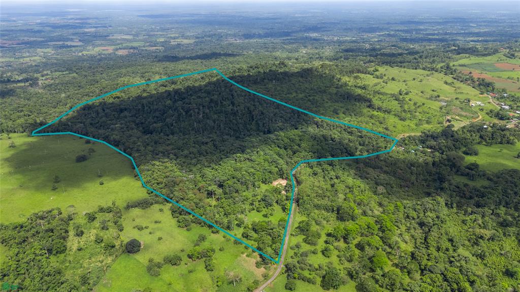 Finca Macadamia Bijagua