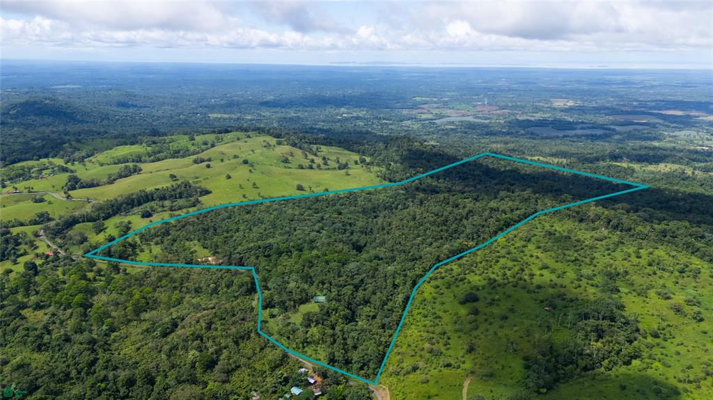 Finca Macadamia Bijagua