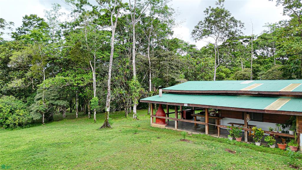 Finca Macadamia Bijagua