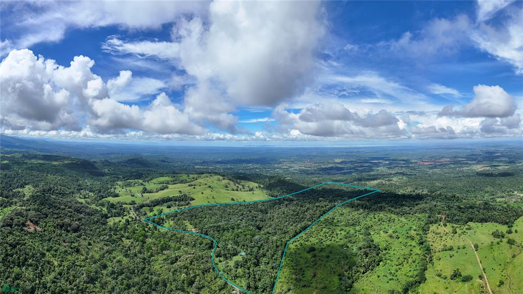 Finca Macadamia Bijagua