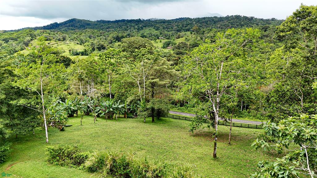 Finca Macadamia Bijagua