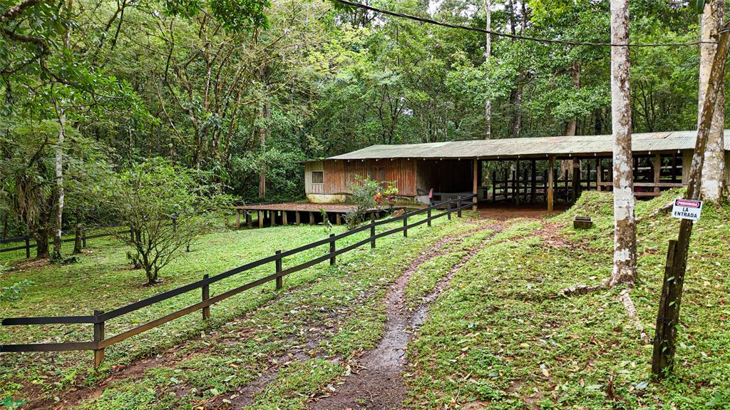 Finca Macadamia Bijagua