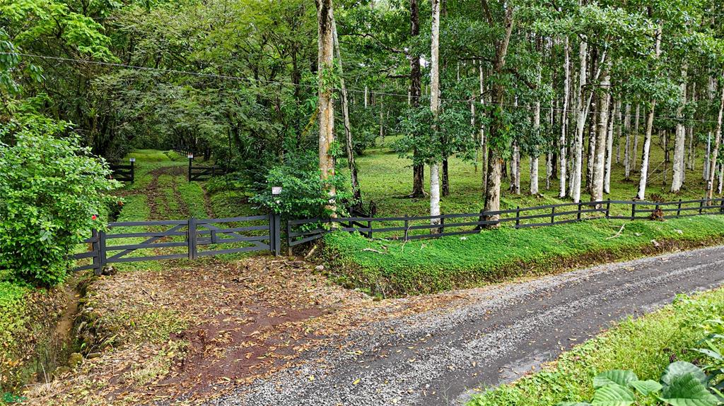 Finca Macadamia Bijagua