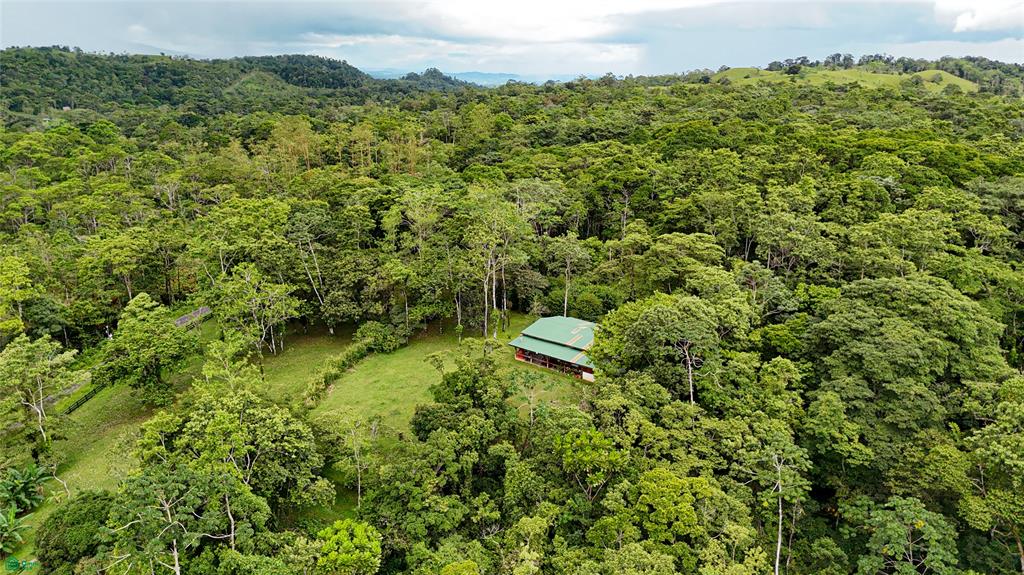 Finca Macadamia Bijagua