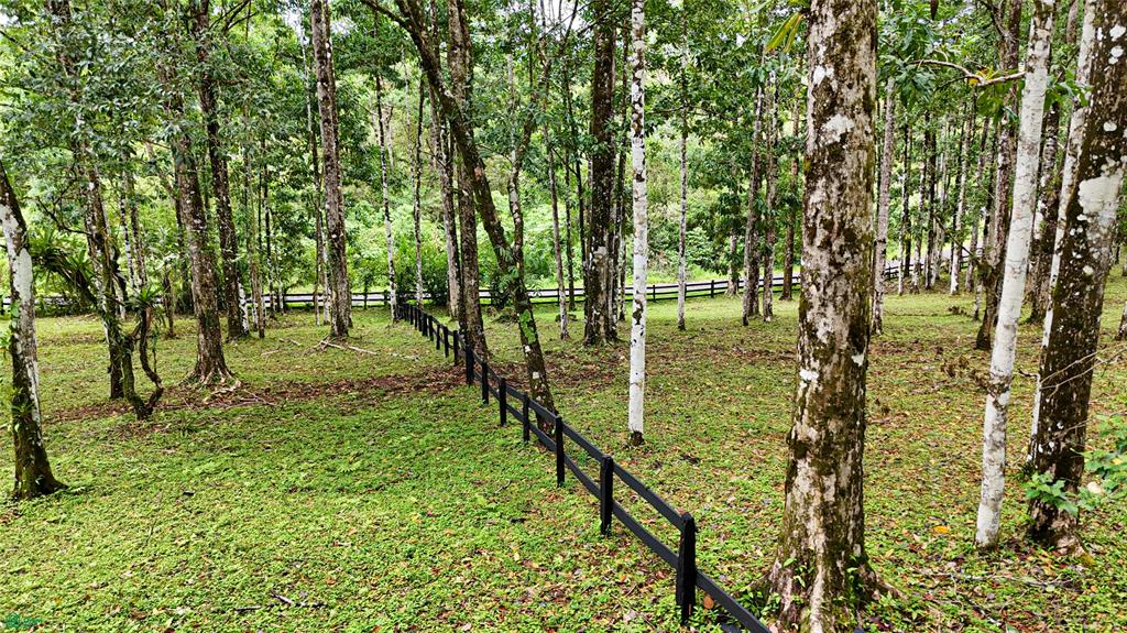 Finca Macadamia Bijagua