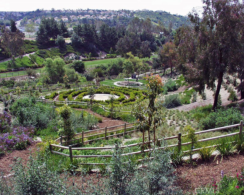 26531 Sinforosa Drive