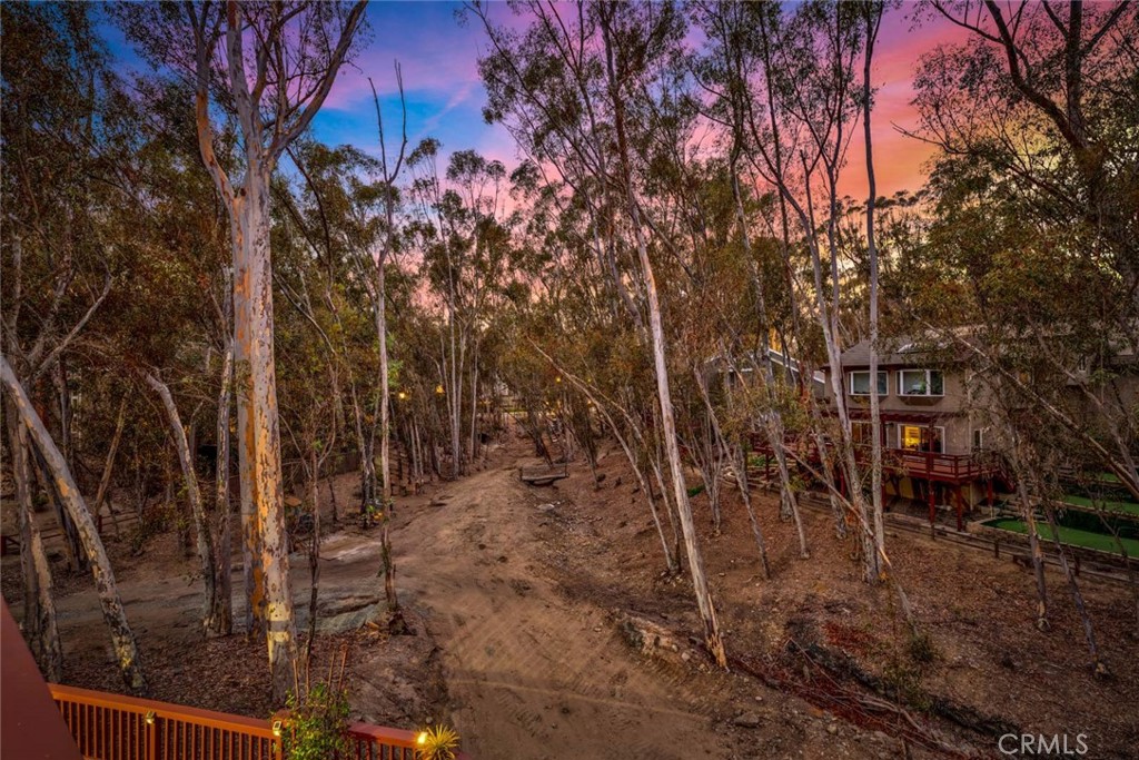 22431 Forest Hill