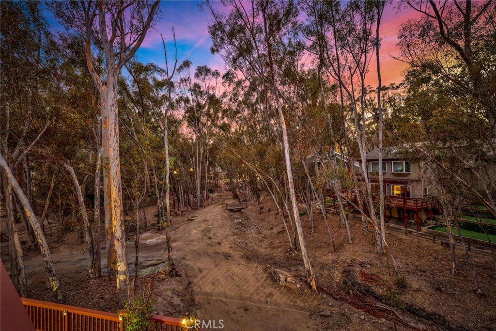 22431 Forest Hill