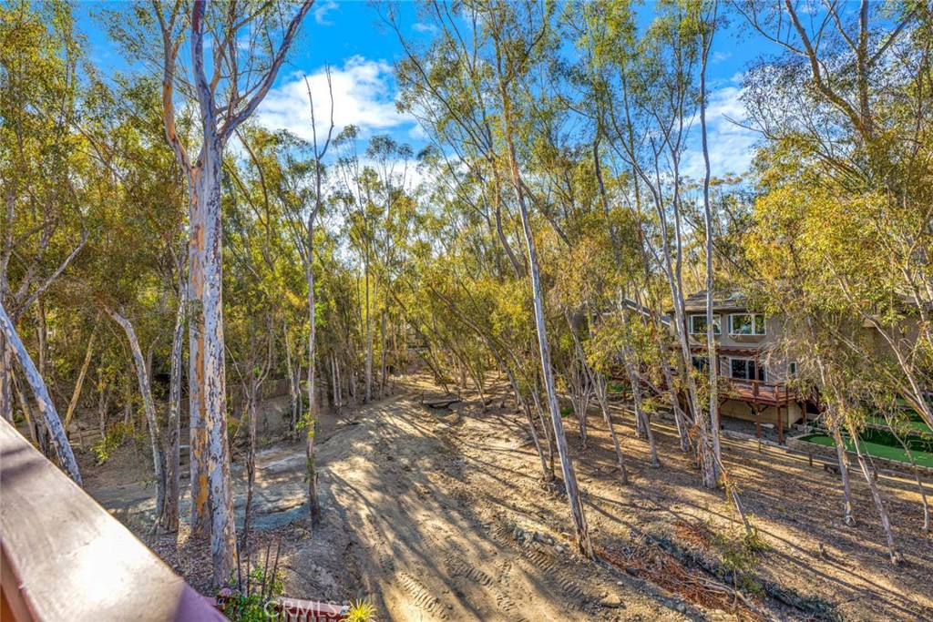 22431 Forest Hill