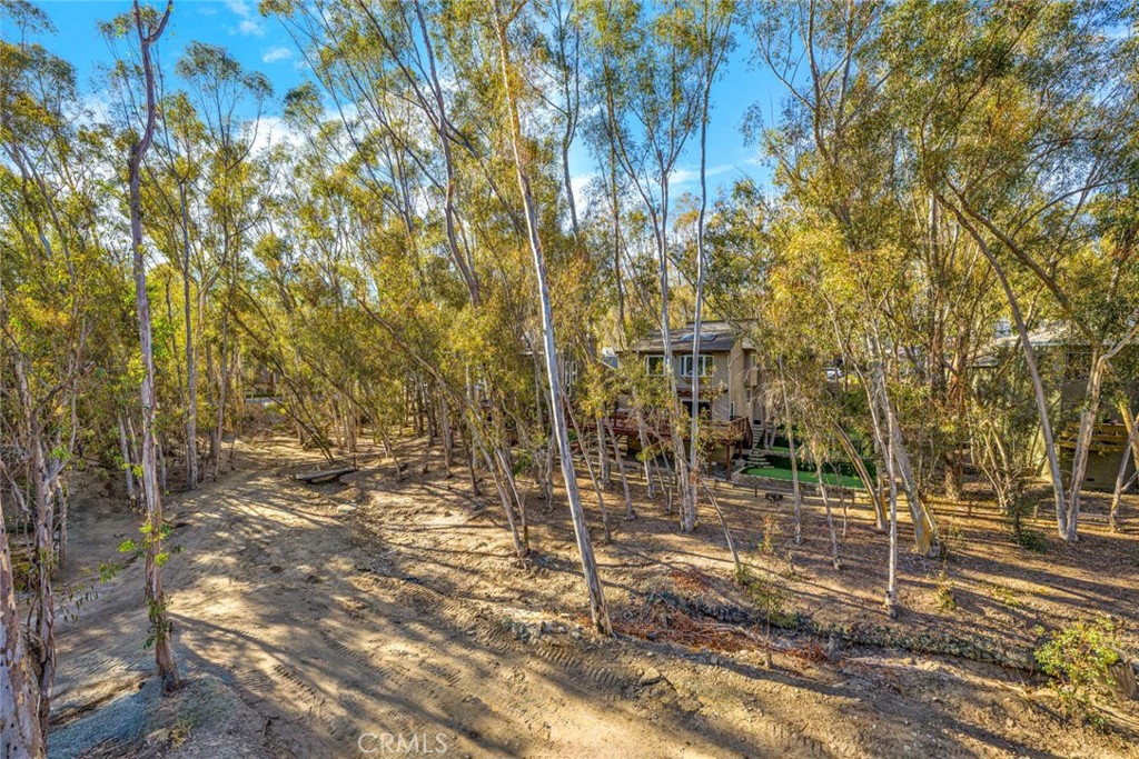 22431 Forest Hill
