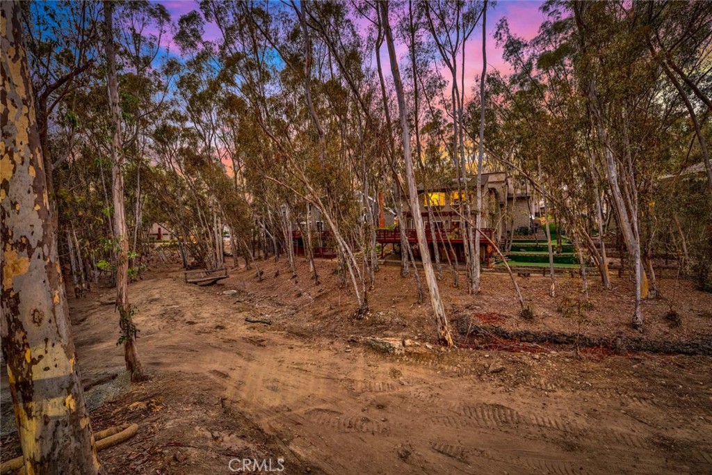 22431 Forest Hill