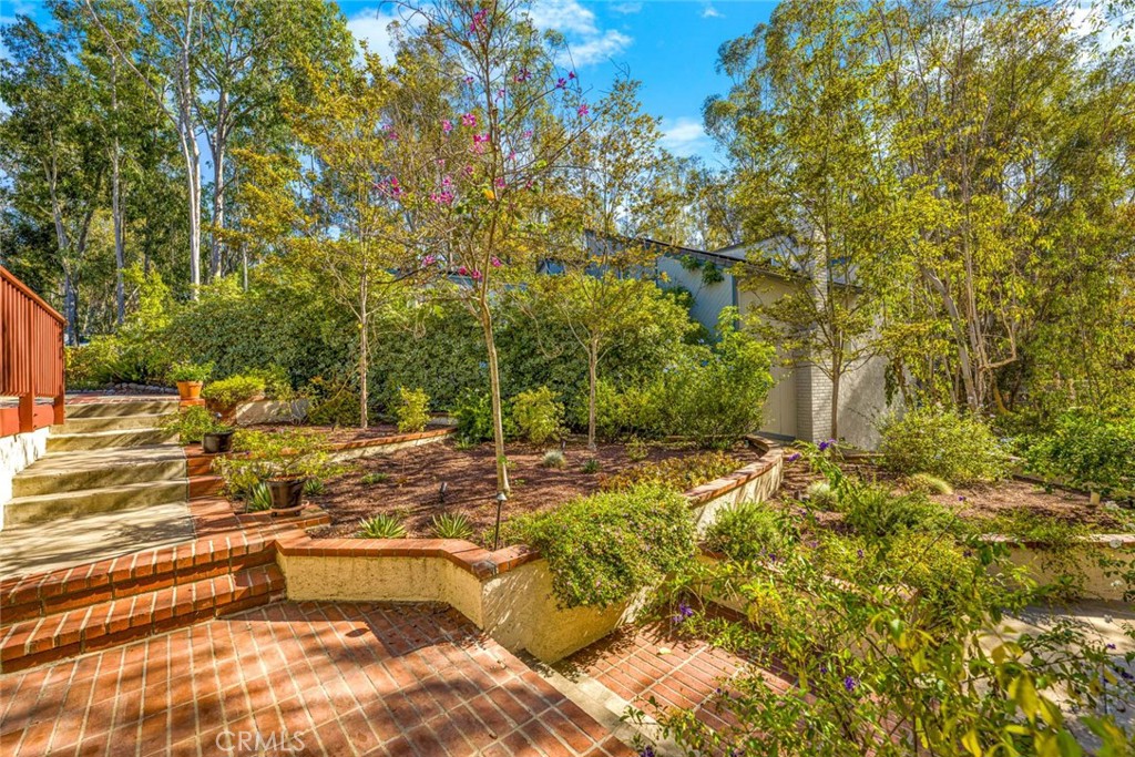 22431 Forest Hill