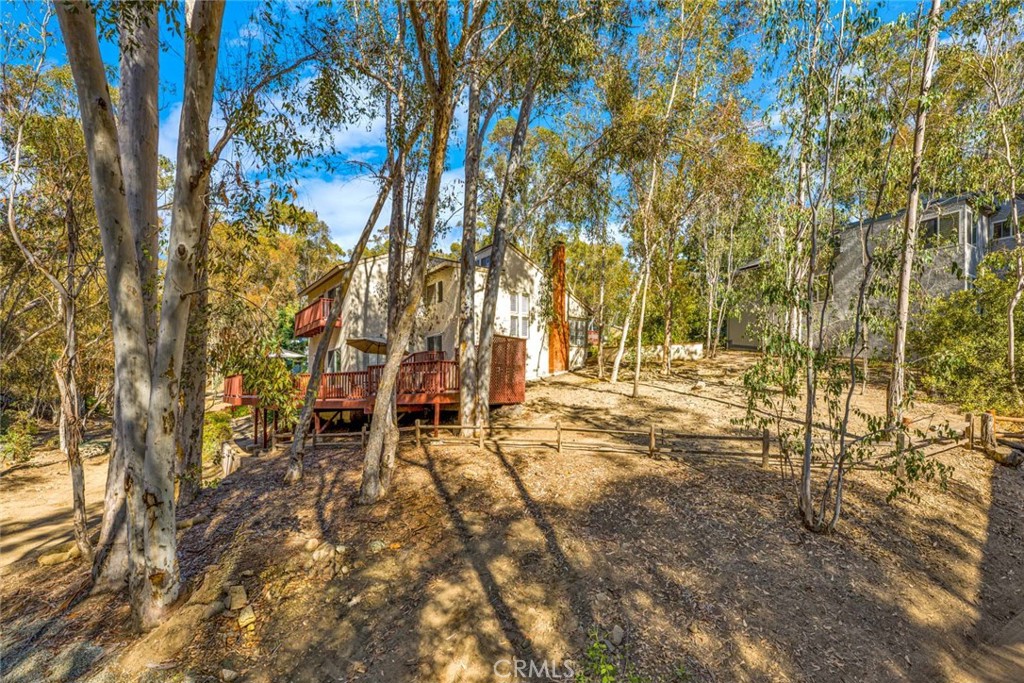 22431 Forest Hill