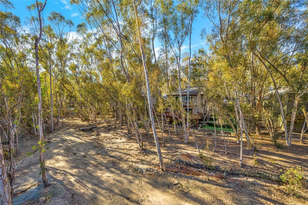 22431 Forest Hill