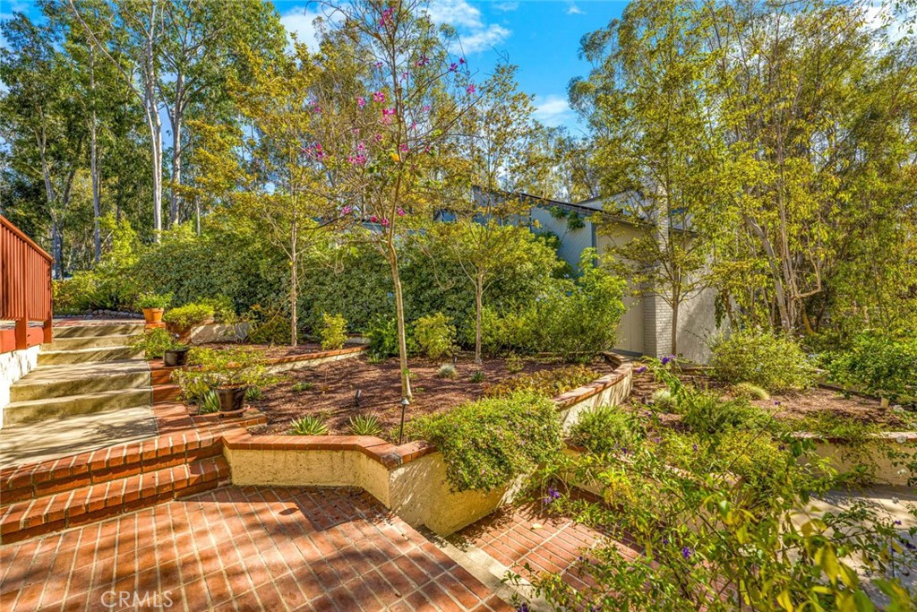 22431 Forest Hill