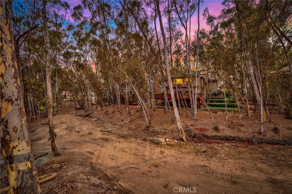 22431 Forest Hill