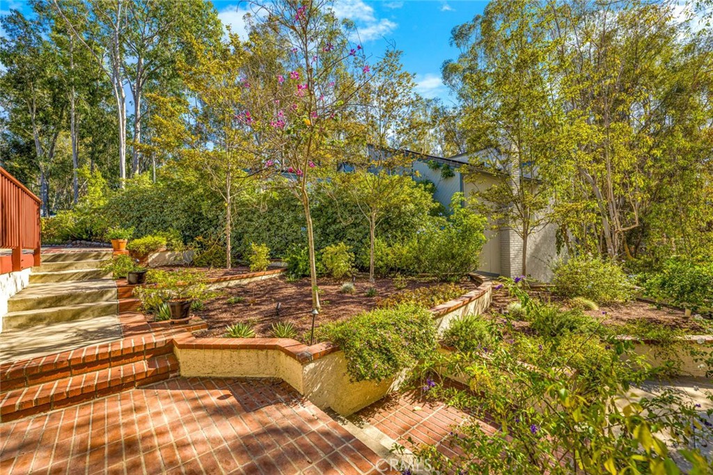 22431 Forest Hill