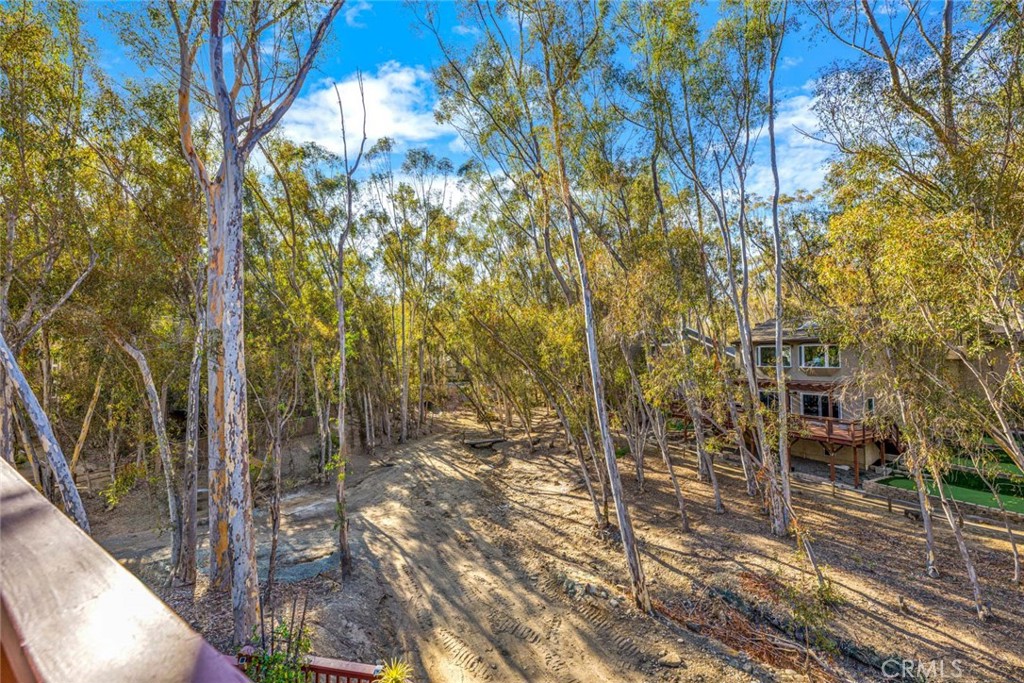 22431 Forest Hill