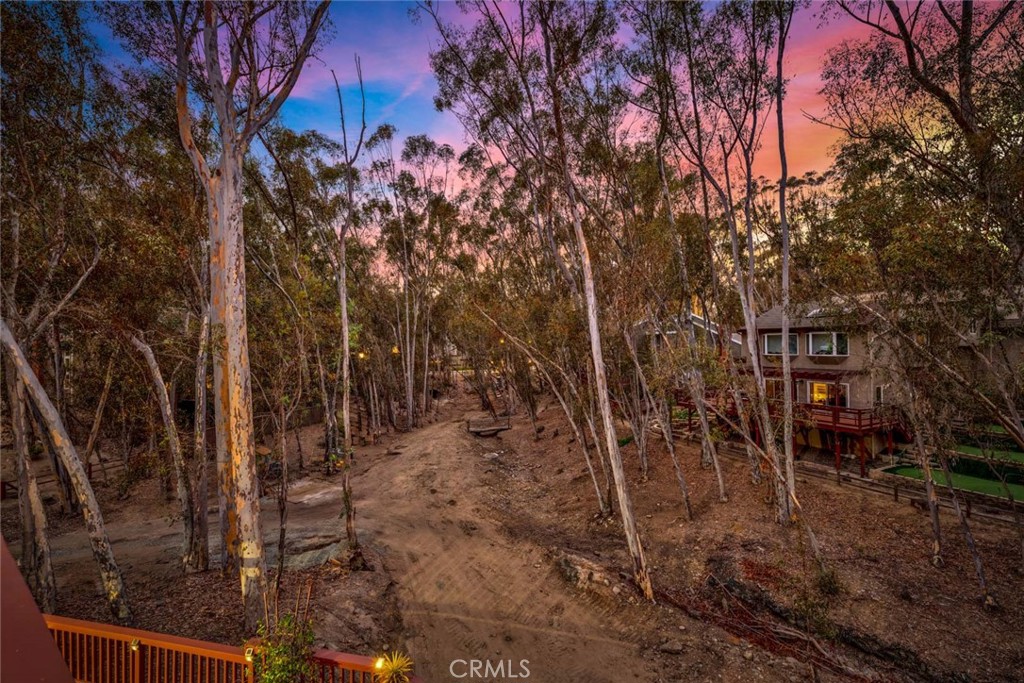 22431 Forest Hill