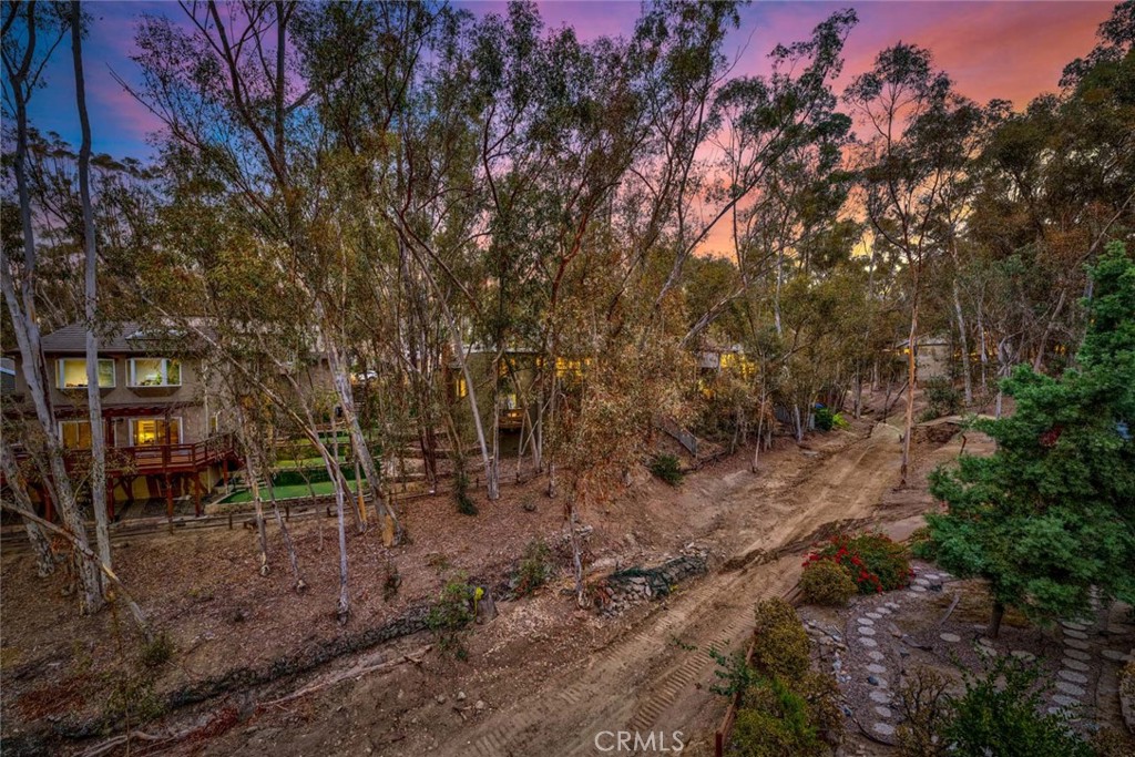 22431 Forest Hill