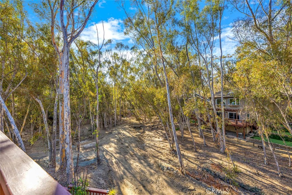 22431 Forest Hill