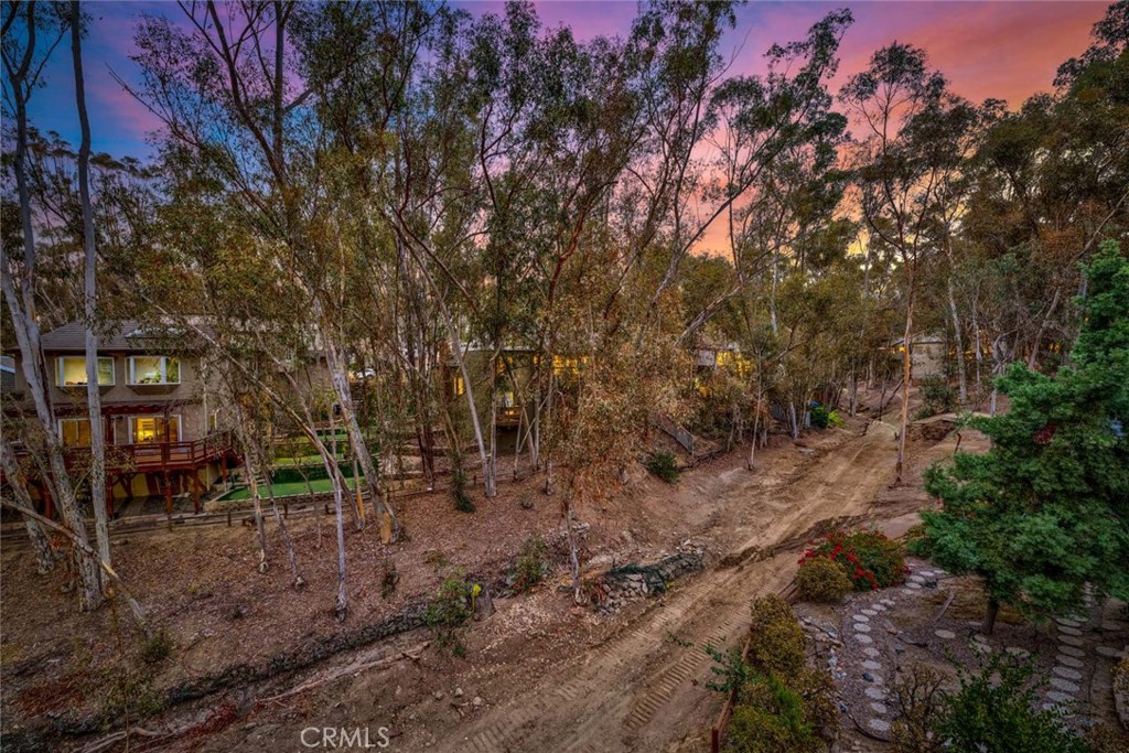 22431 Forest Hill